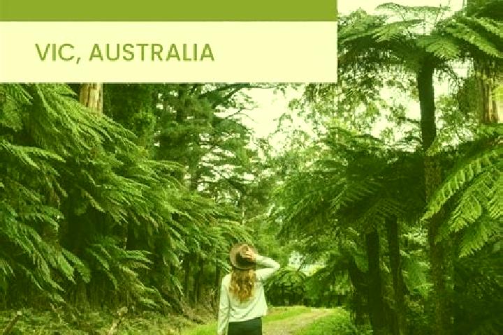 Escorts Warburton, Australia — Local Companions