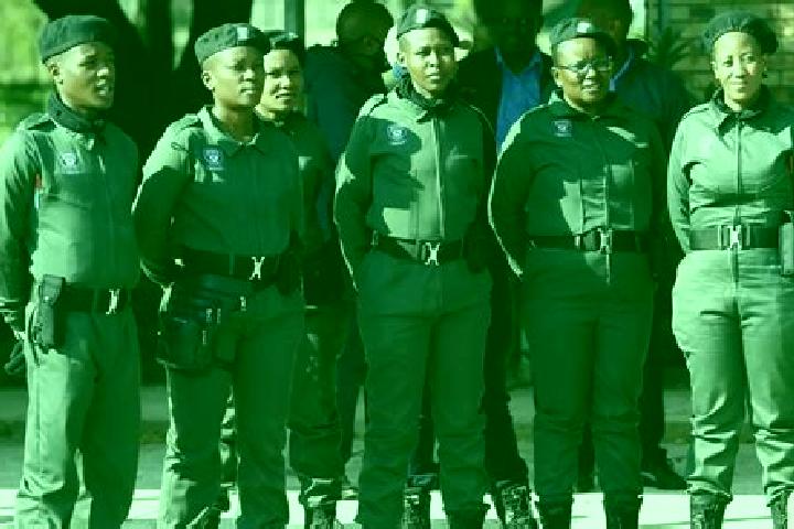 Escorts Warden, South Africa — Local Companions