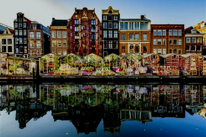 Escorts Waterakkers, Netherlands — Local Companions