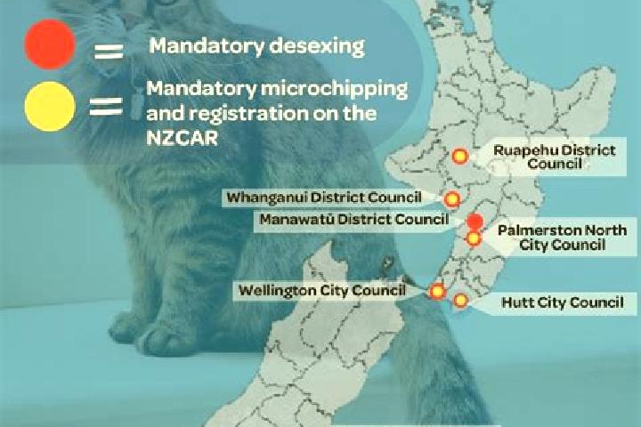 Escorts Wattle Downs, New Zealand — Local Companions