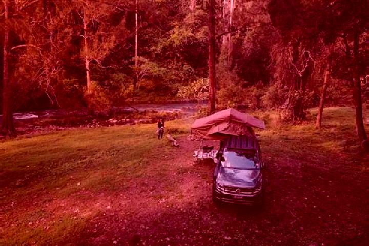Escorts Wauchope, Australia — Local Companions