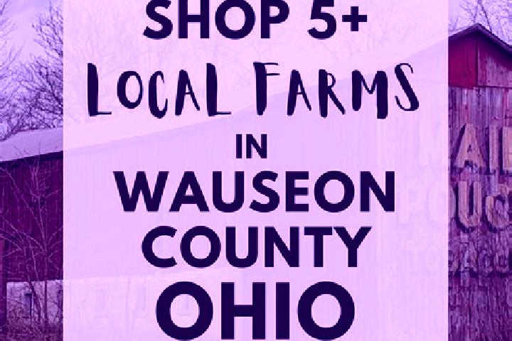Escorts Wauseon, United States — Local Companions