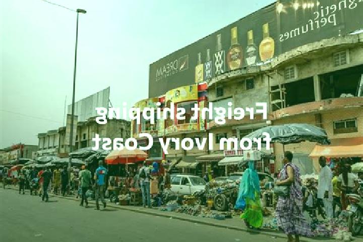 Escorts Wayeri, Ivory Coast — Local Companions