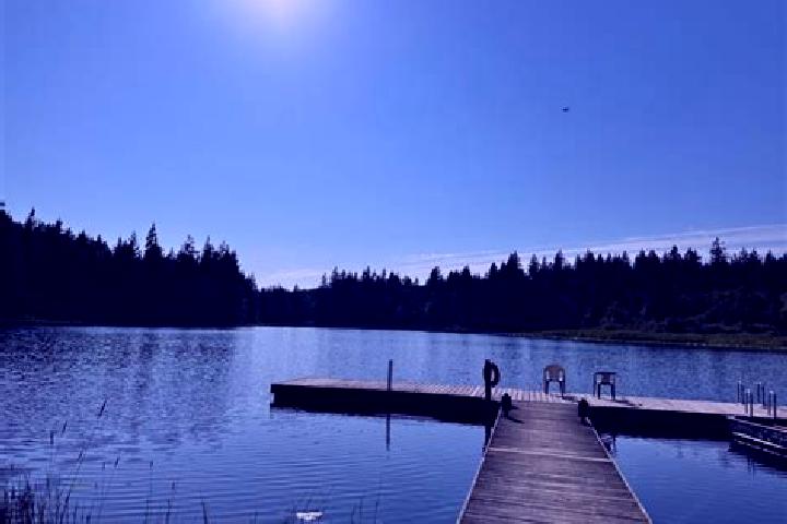 Escorts Weallup Lake, United States — Local Companions