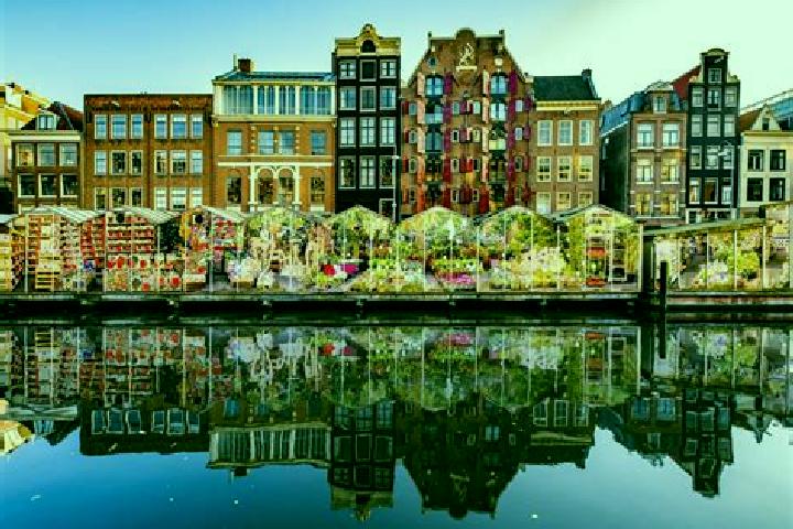 Escorts Wedde, Netherlands — Local Companions