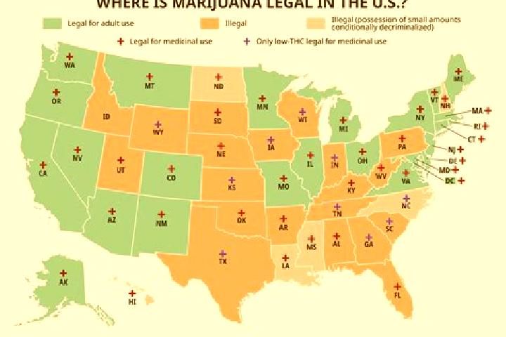 Escorts Weed, United States — Local Companions