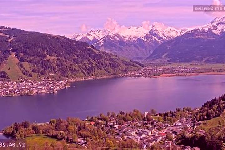 Escorts Weiden am See, Austria — Local Companions