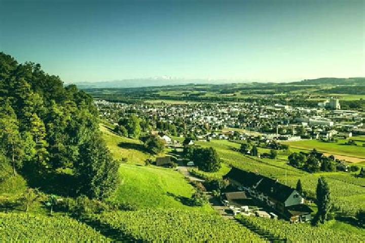 Escorts Weinfelden, Switzerland — Local Companions
