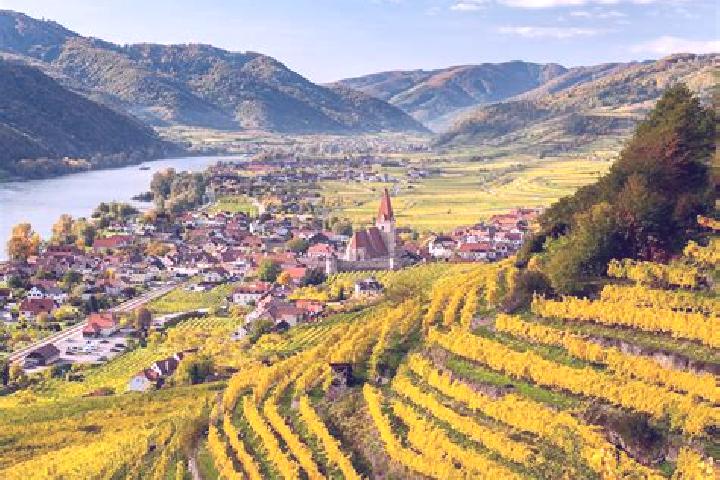 Escorts Weissenkirchen in der Wachau, Austria — Local Companions