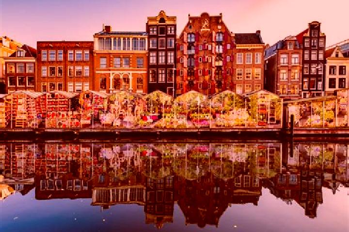 Escorts Wekerom, Netherlands — Local Companions