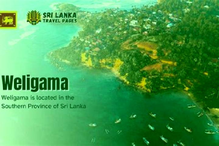 Escorts Weligama, Sri Lanka — Local Companions