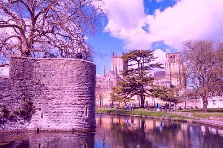 Escorts Wells, United Kingdom — Local Companions