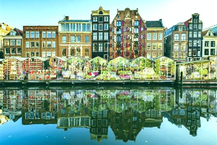 Escorts Westenenk, Netherlands — Local Companions