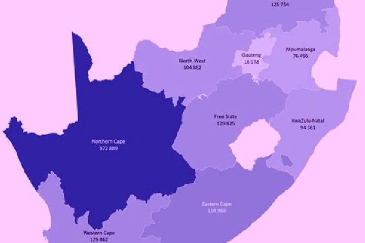 Escorts Western Areas, South Africa — Local Companions