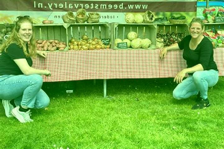 Escorts Westwoud, Netherlands — Local Companions