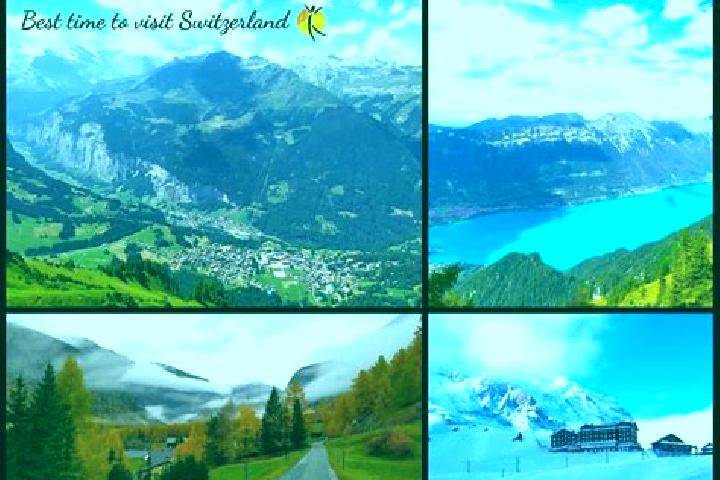Escorts Wettswil, Switzerland — Local Companions