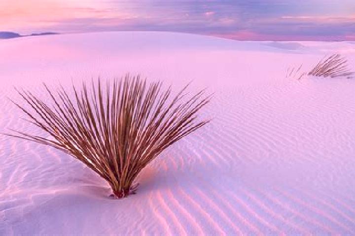 Escorts White Sands, United States — Local Companions