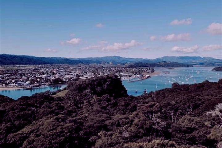 Escorts Whitianga, New Zealand — Local Companions