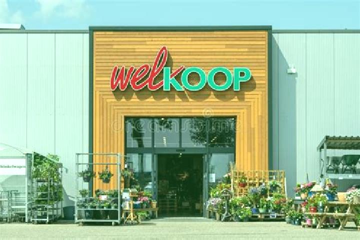 Escorts Wieringerwerf, Netherlands — Local Companions