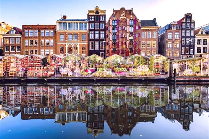 Escorts Wilbertoord, Netherlands — Local Companions