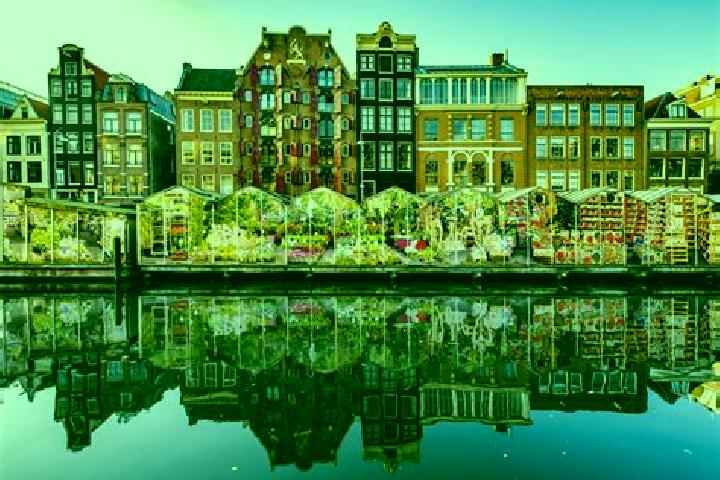 Escorts Wilhelminaoord, Netherlands — Local Companions