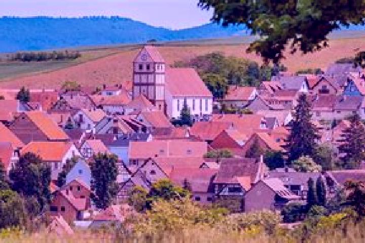 Escorts Willgottheim, France — Local Companions
