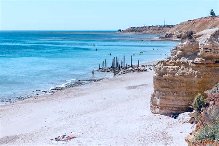 Escorts Willunga, Australia — Local Companions
