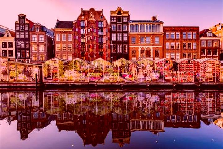 Escorts Wilp, Netherlands — Local Companions