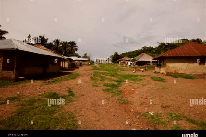 Escorts Wima, Sierra Leone — Local Companions