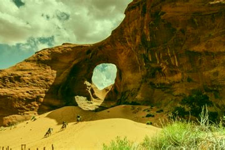 Escorts Window Rock, United States — Local Companions