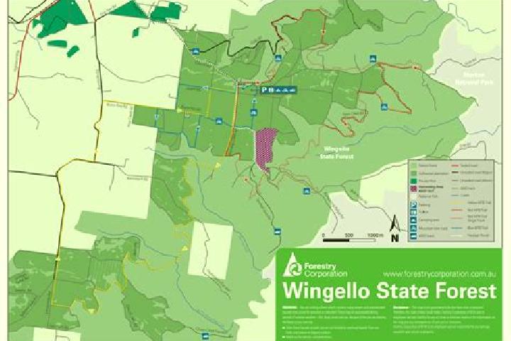 Escorts Wingello, Australia — Local Companions