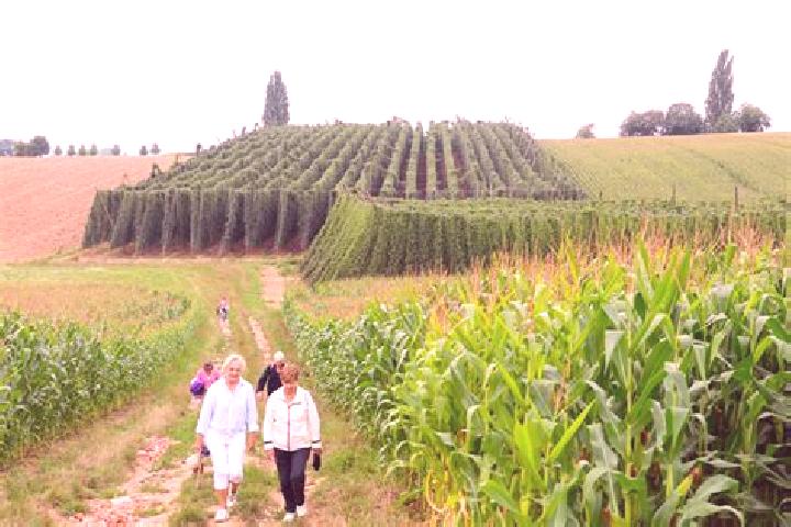 Escorts Wingersheim, France — Local Companions