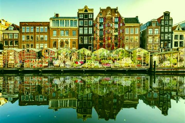 Escorts Winkewijert, Netherlands — Local Companions