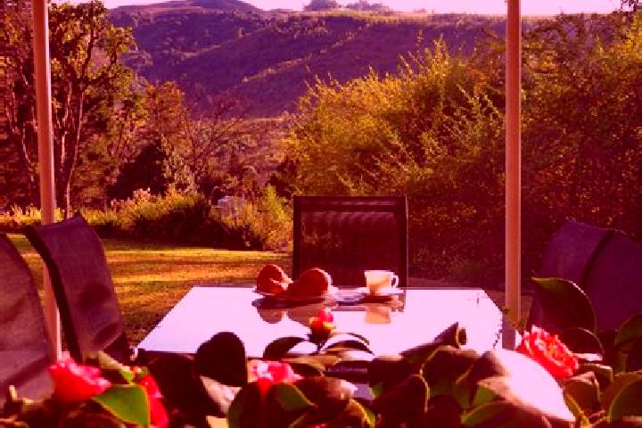 Escorts Winterton, South Africa — Local Companions