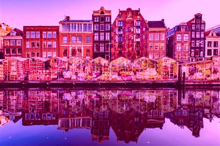 Escorts Wirdum, Netherlands — Local Companions