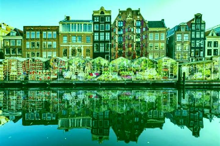Escorts Wisselaar, Netherlands — Local Companions