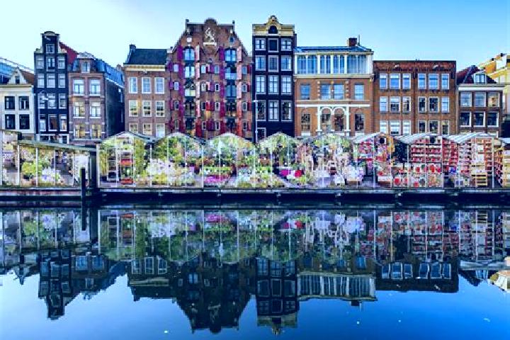 Escorts Woerden, Netherlands — Local Companions