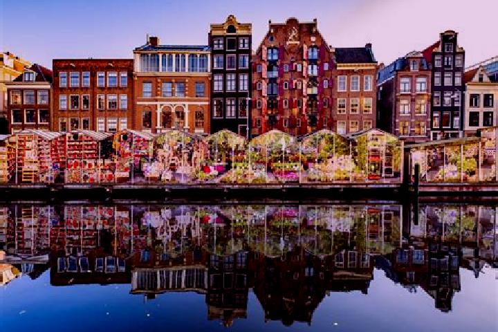 Escorts Wolphaartsdijk, Netherlands — Local Companions
