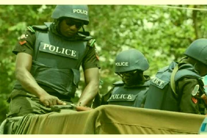 Escorts Wudil, Nigeria — Local Companions