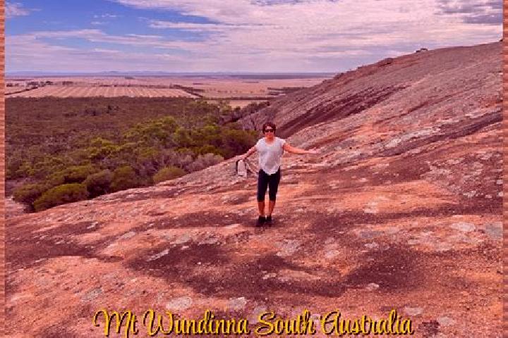 Escorts Wudinna, Australia — Local Companions