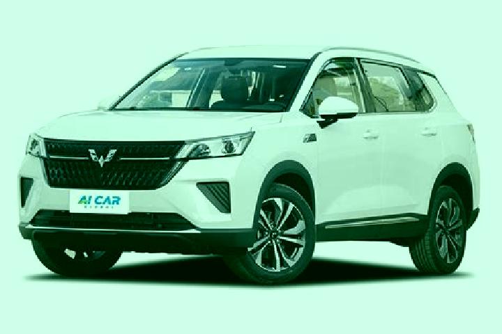 Escorts Wuling, China — Local Companions