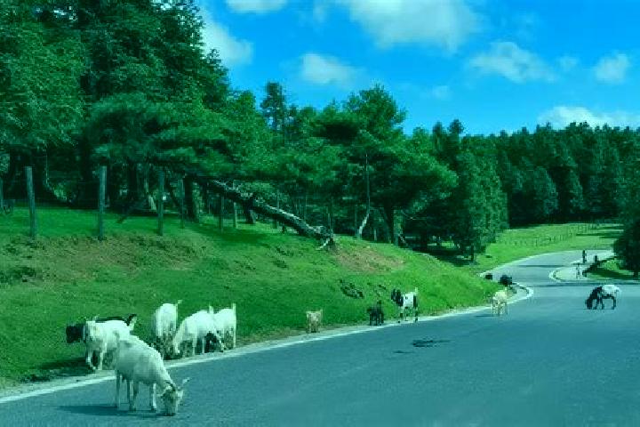 Escorts Xiannueshan, China — Local Companions