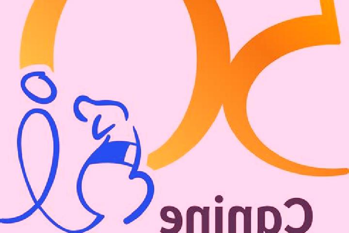 Escorts Xilembene, Mozambique — Local Companions
