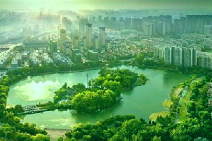 Escorts Xinzhan, China — Local Companions