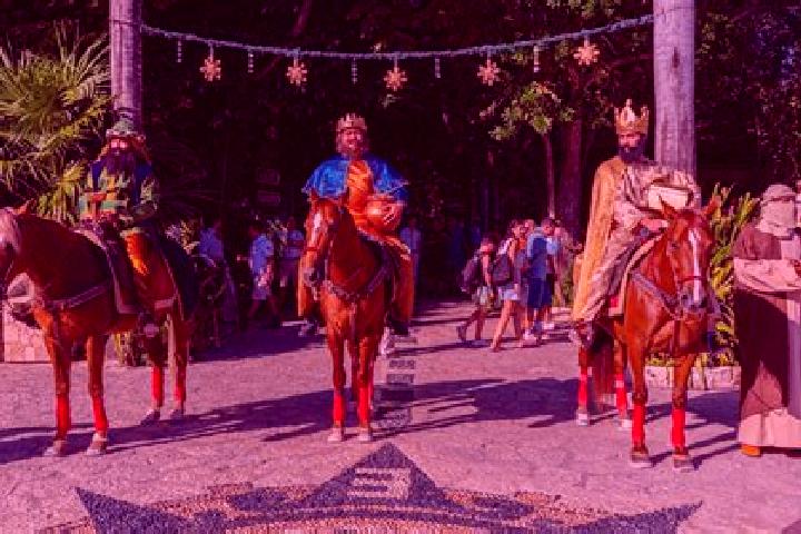 Escorts Xixingo de los Reyes, Mexico — Local Companions