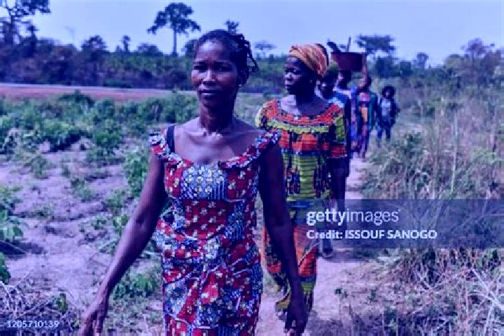 Escorts Yafi-Kouamekro, Ivory Coast — Local Companions