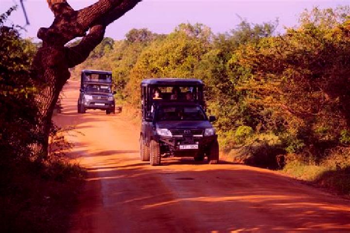 Escorts Yala, Kenya — Local Companions