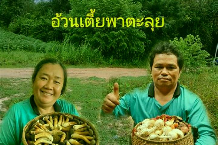 Escorts Yang Chum Noi, Thailand — Local Companions