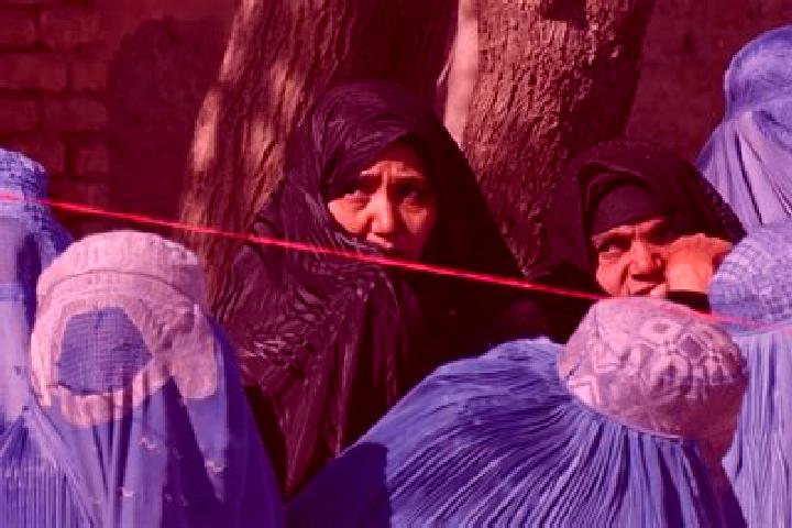 Escorts Yangi Qal ah, Afghanistan — Local Companions