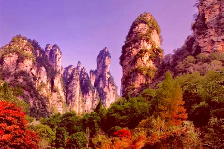 Escorts Yangjiaji, China — Local Companions